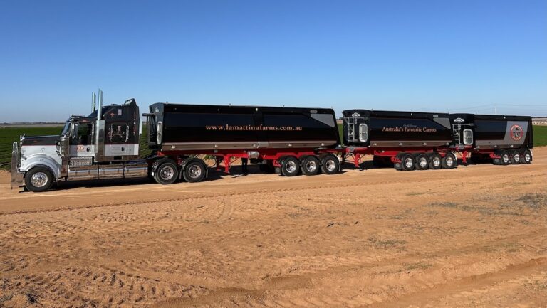 Lamattina-unveils-Stag-B-triple